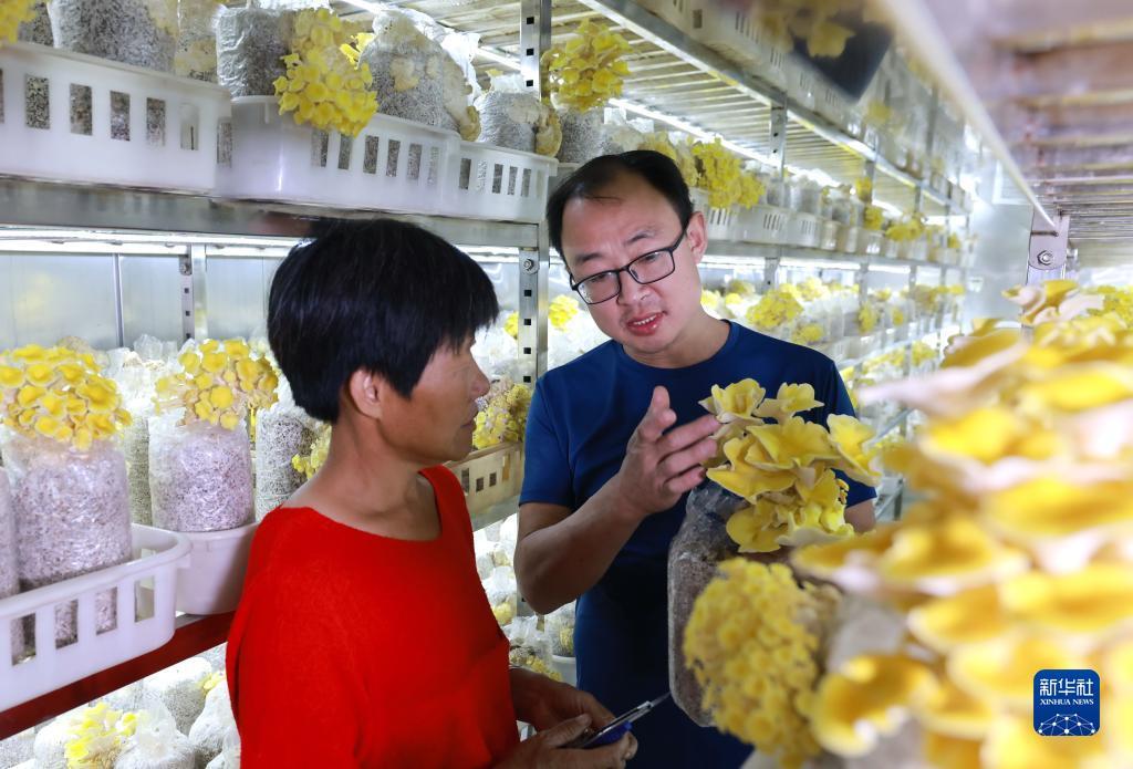 满贯捕鱼下载